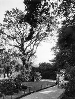 Morrab Gardens, Penzance, August 1928