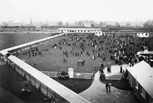 Horse Gallery: Newbury Racecourse Station, September 1905