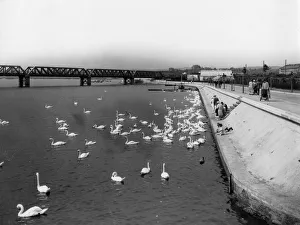 Other Bridges, Viaducts & Tunnels Gallery: Radipole Lake, Weymouth, August 1929