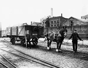 1925 Collection: The last shunting horse at Paddington, 1925