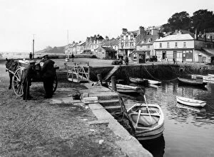 Horse Gallery: St Mawes Harbour, Cornwall, September 1930