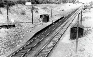 Wiltshire Stations Collection: Stratton Park Halt