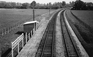1950s Prints: Thornford Bridge Halt, Dorset, c. 1950s