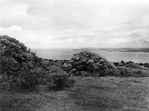 Cornwall Gallery: Trelyon Downs, Cornwall, June 1946