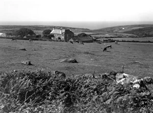 Images Dated 10th February 2021: Trendrine Farm, St Ives, June 1946