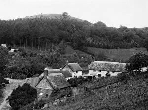 Cottage Gallery: Triscombe in the Quantock Hills, Somerset