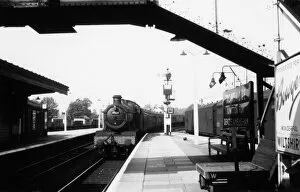 Hall Class Locomotives Collection: Trowbridge Station, 1960