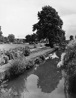 Bandstand Gallery: Vivary Park in Taunton, Somerset, July 1931
