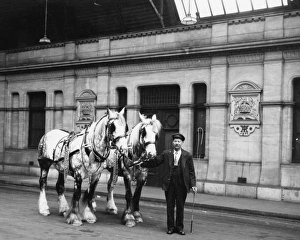 Horse Drawn Vehicles Gallery: Windsor Station, 1948