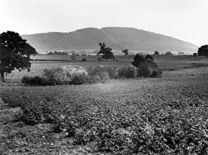 1925 Collection: The Wrekin, Welon, Shropshire, August 1925